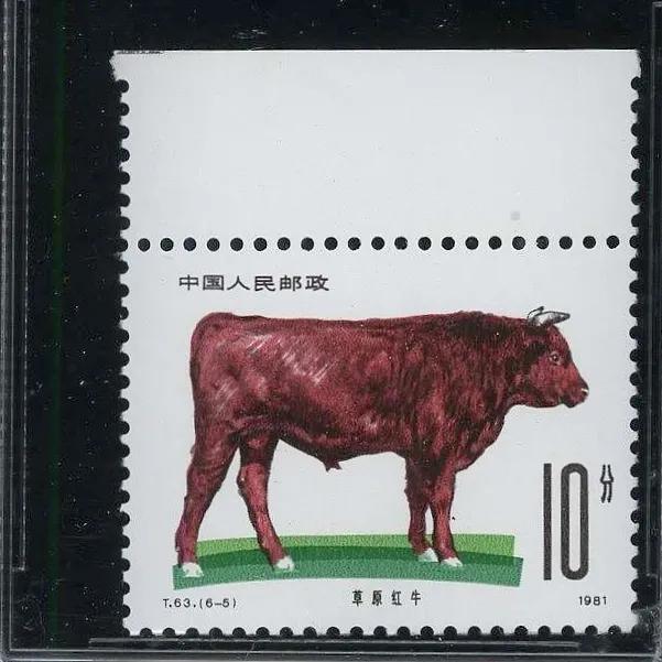 t63牧牛邮票,畜牧牛邮票