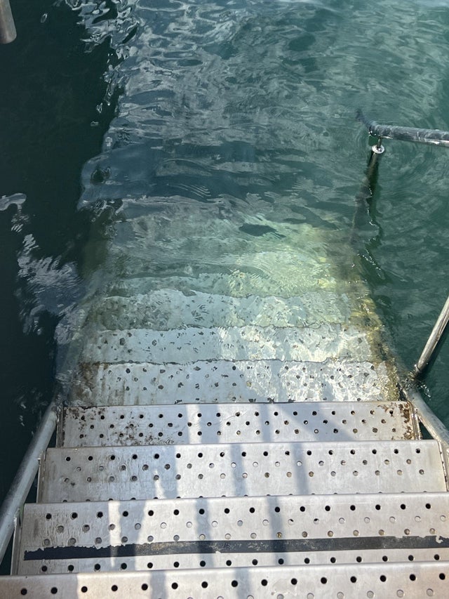 未解之谜深海巨蟒多大,海洋巨蟒真实图片大全