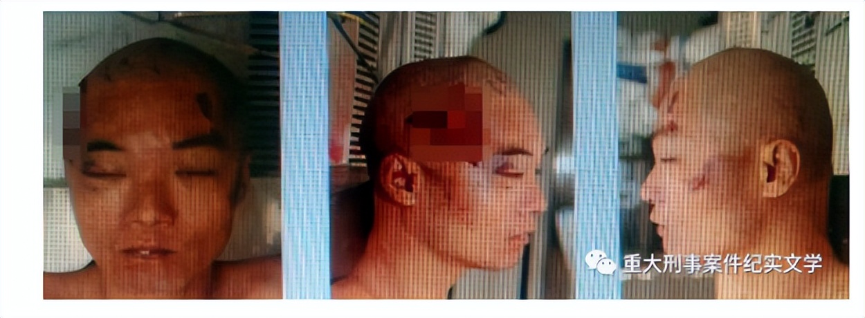 周克华的人生经历,周克华的一生简介