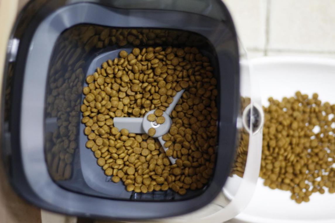 多猫宠物智能喂食器测评,宠物猫狗智能喂食器
