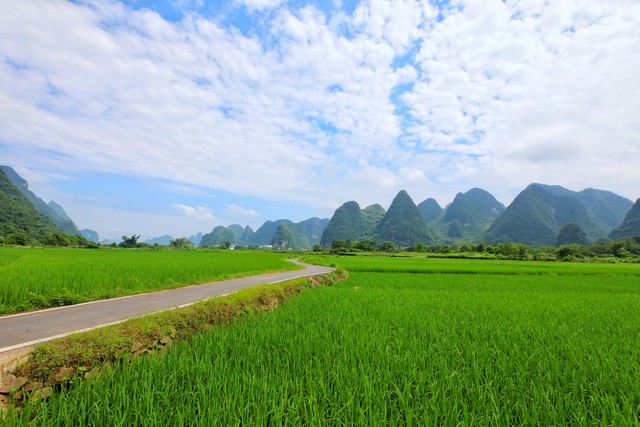 如何健全农业支持保护政策,国家大力扶持三种农业主体