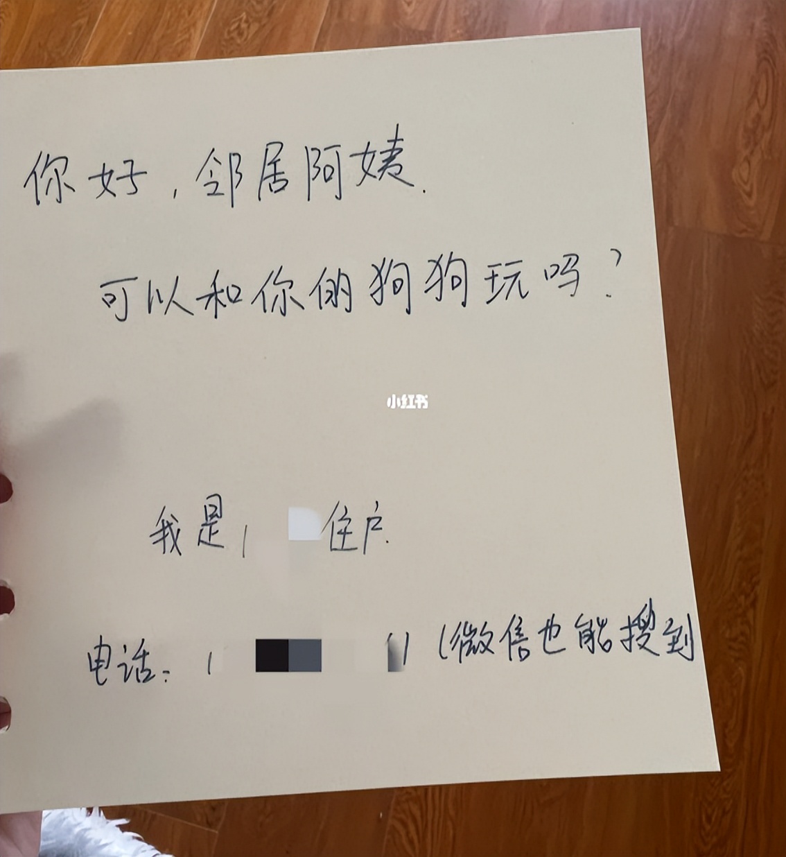 小姐姐和邻居小狗发展迅速，几天后竟然都“滚床单”啦~