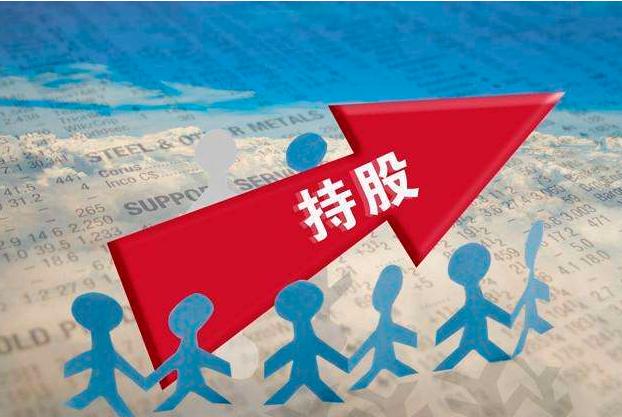 股份股权股票的区别,公司给员工股份与股权的区别