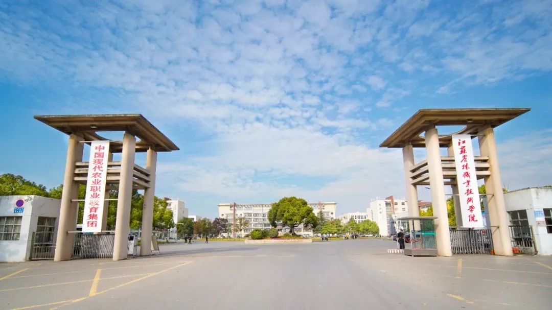 未毕业被定岗位的大学专业,未毕业定岗培养