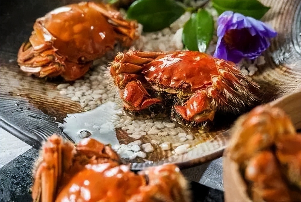 美食天津十大经典名菜,天津传统老菜牛鼻子