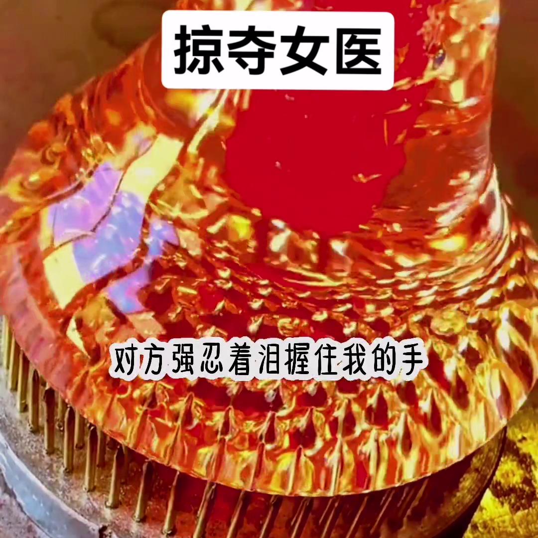 掠夺小说女主,掠夺女主的小说