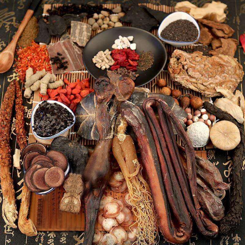 老人口中一碰就碎的“碎蛇”，尾巴吃了大补，是蛇和蜥蜴的杂交？