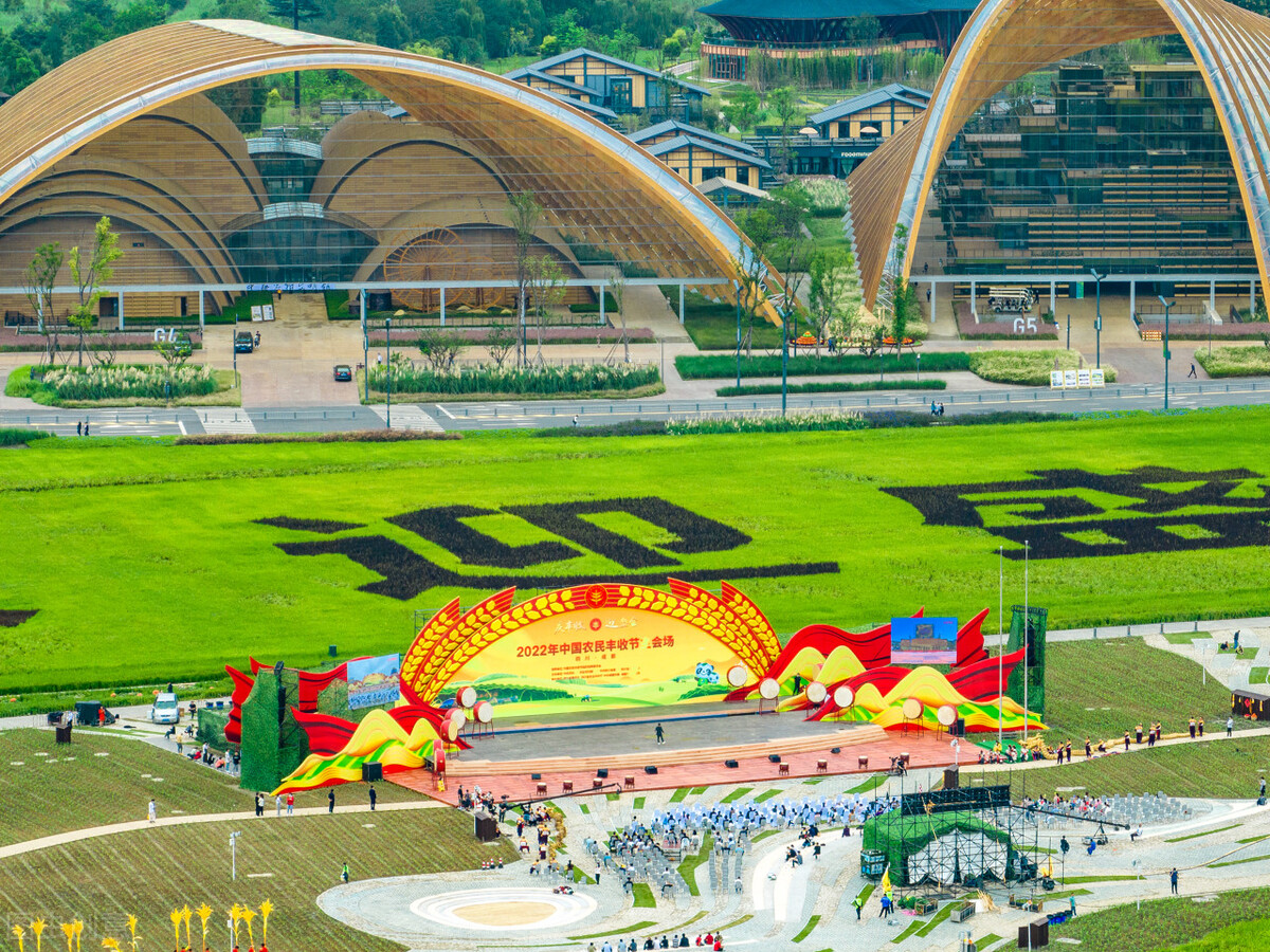 金色童年，多彩活动——阿宝老师的“作文经”（二三〇）