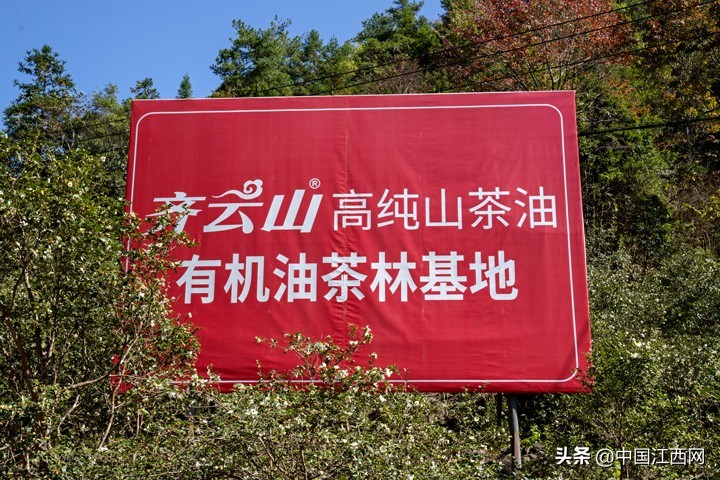 十年磨一剑只为匠心制造,十年磨一剑匠心工艺