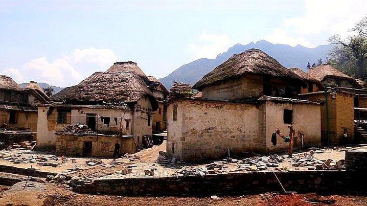 “我们村里有好多自杀的老人”！武汉大学教授田野调查时，很意外