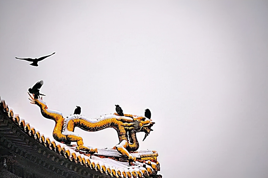 鐧鹃笩楦ｆ槬楂樻竻鍥剧墖,鐧鹃笩楦ｆ槬椋庢櫙瑙嗛