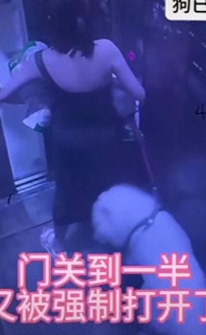 自述牵狗进电梯被邻居殴打女生道歉：账号设私密，主页发致歉文本