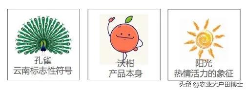 沃柑品牌策划核心竞争力如何提高,沃柑品牌推荐