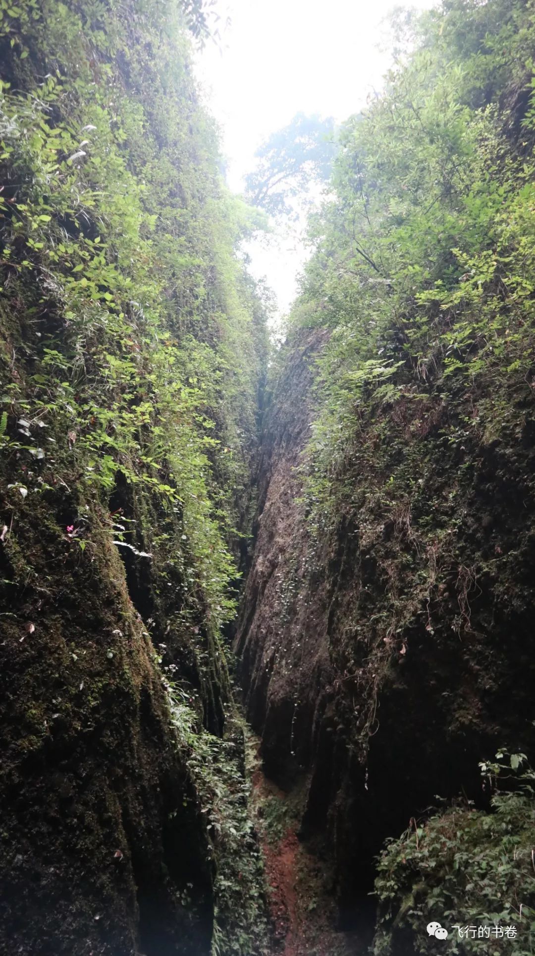 道教四大仙山你爬过几座,青城山为什么被称作道教第一山