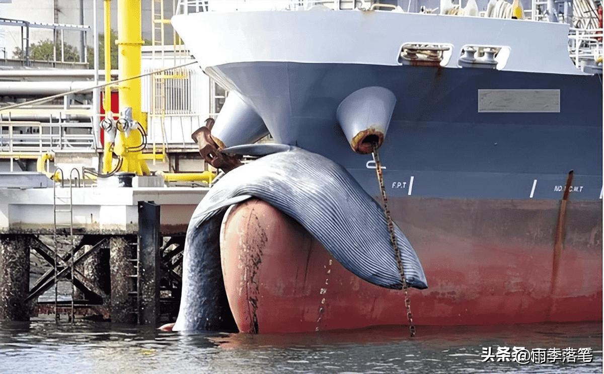 民国女子照片真实图片,民国女子真实照片