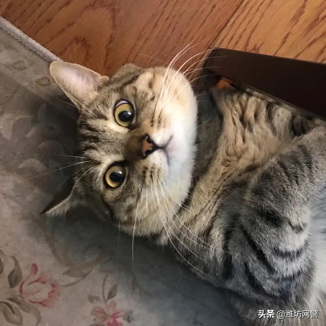 微信转账对方不承认,用微信转账给别人不承认了怎么办