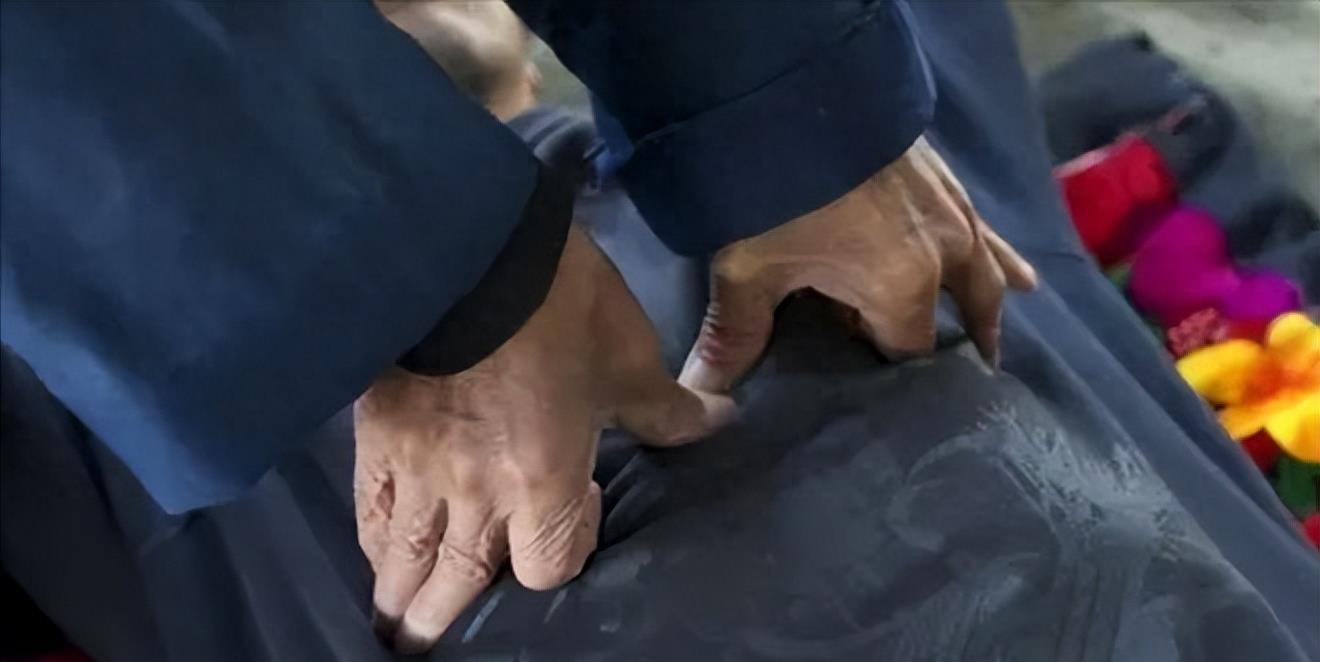 陆地神仙张至顺道长羽化,张至顺隐居终南山视频