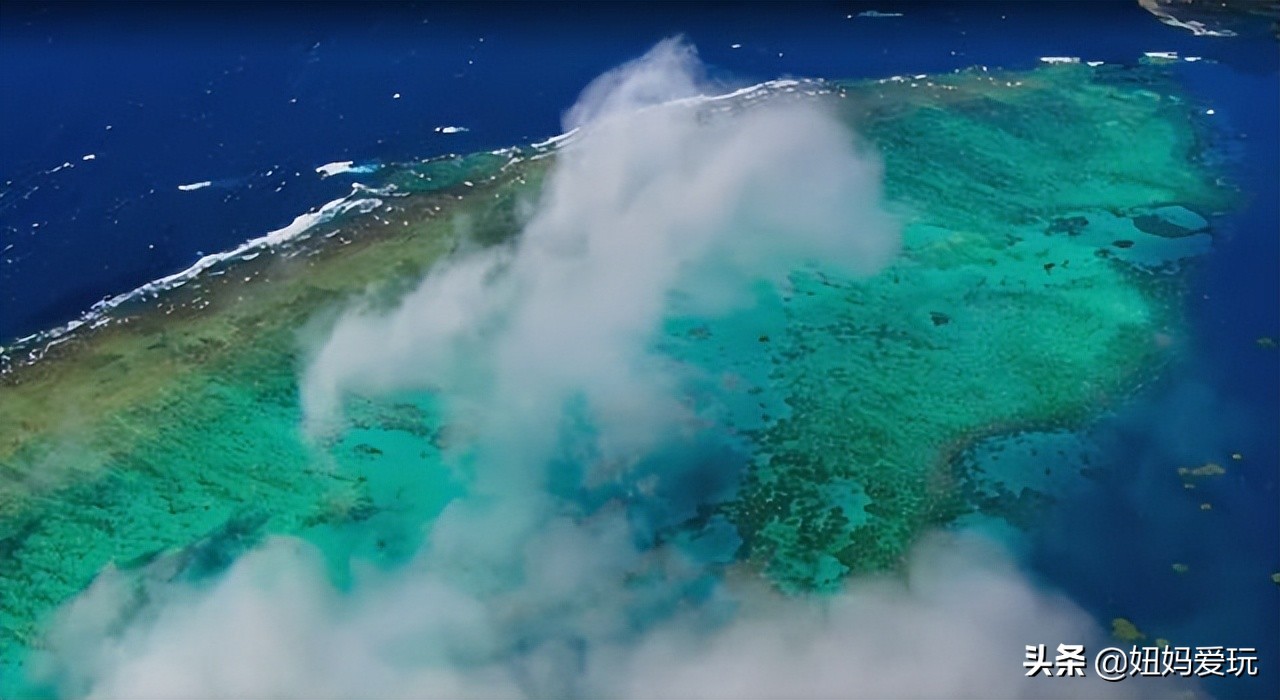 这几部口碑爆棚的宝藏纪录片,国庆孩子必看的8部神级纪录片