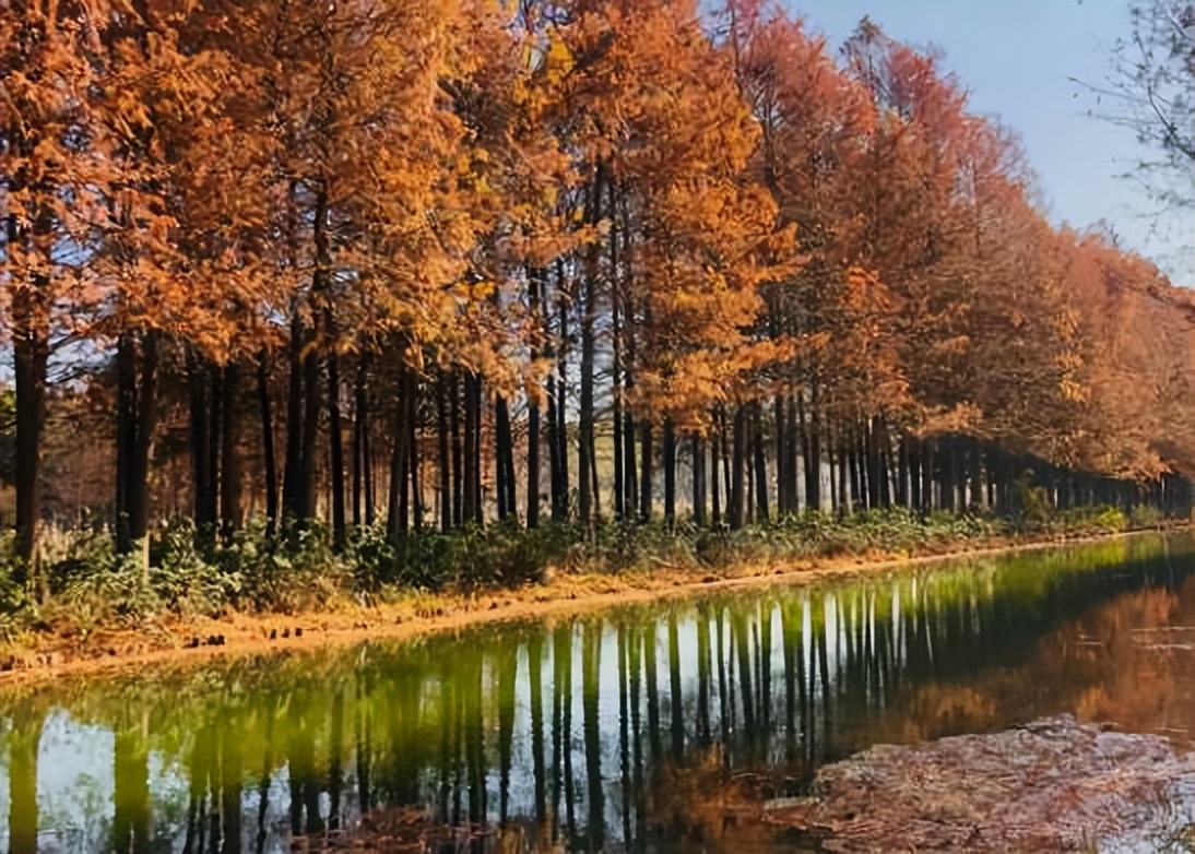 苏州景区推荐最值得去的地方,苏州最值得旅游的地方