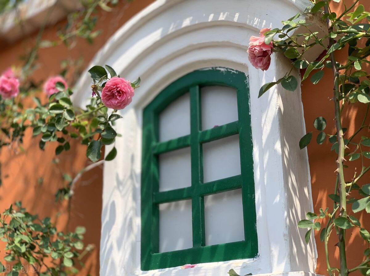 国内外大型石油化工项目,石油化学工程项目