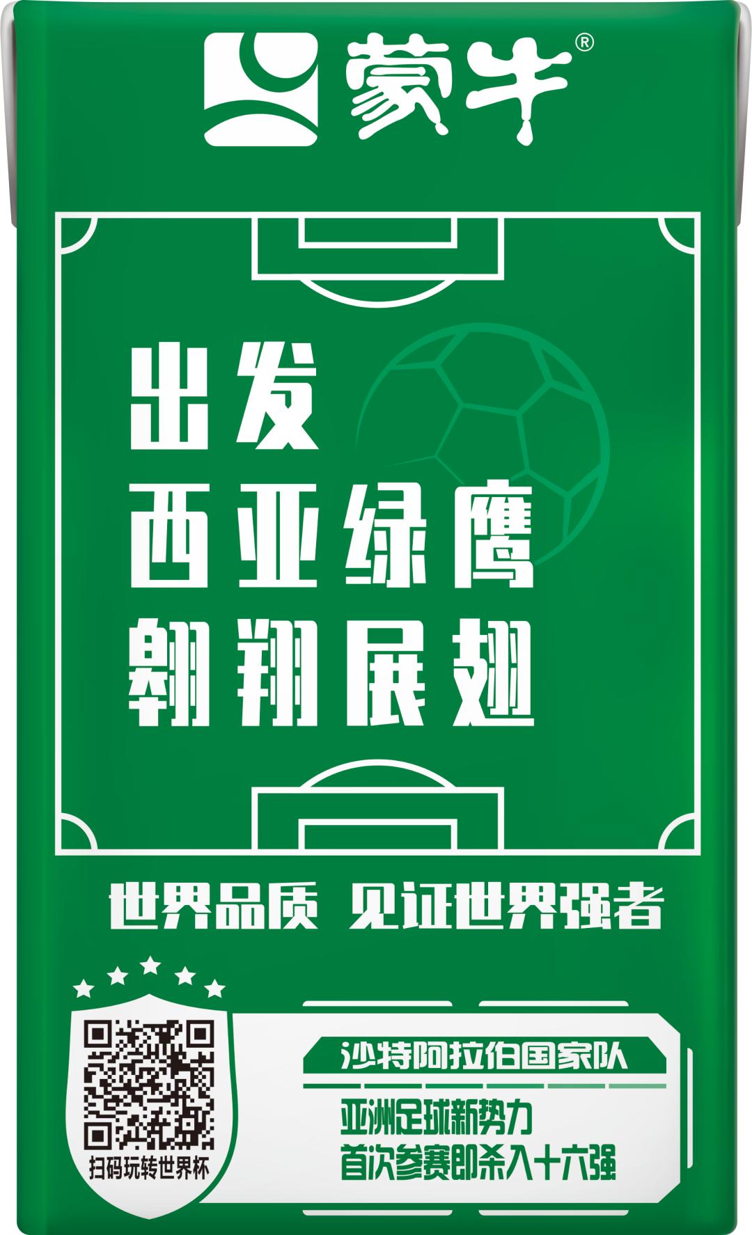 世界杯队长手记,世界杯队长纪录片葡萄牙