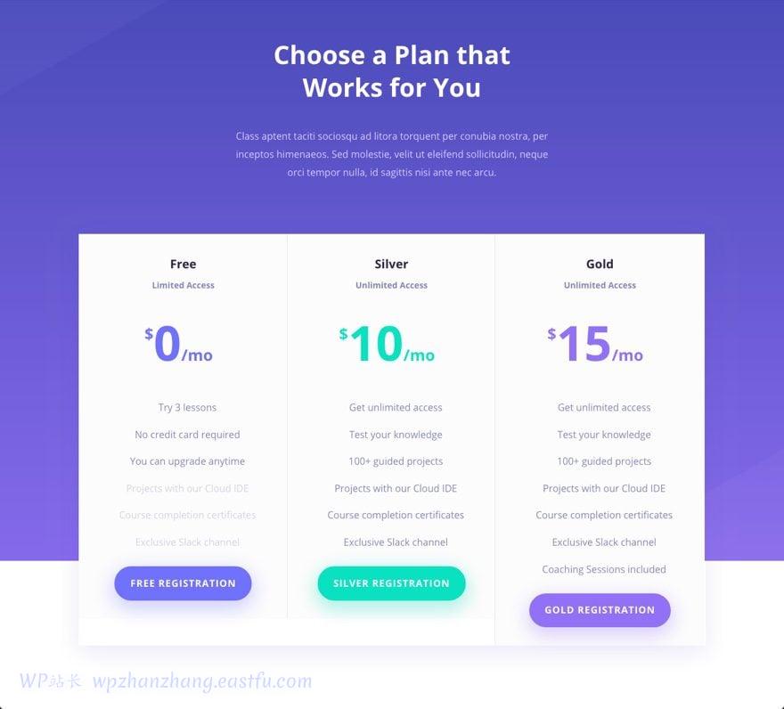divi建站,divi中文教程