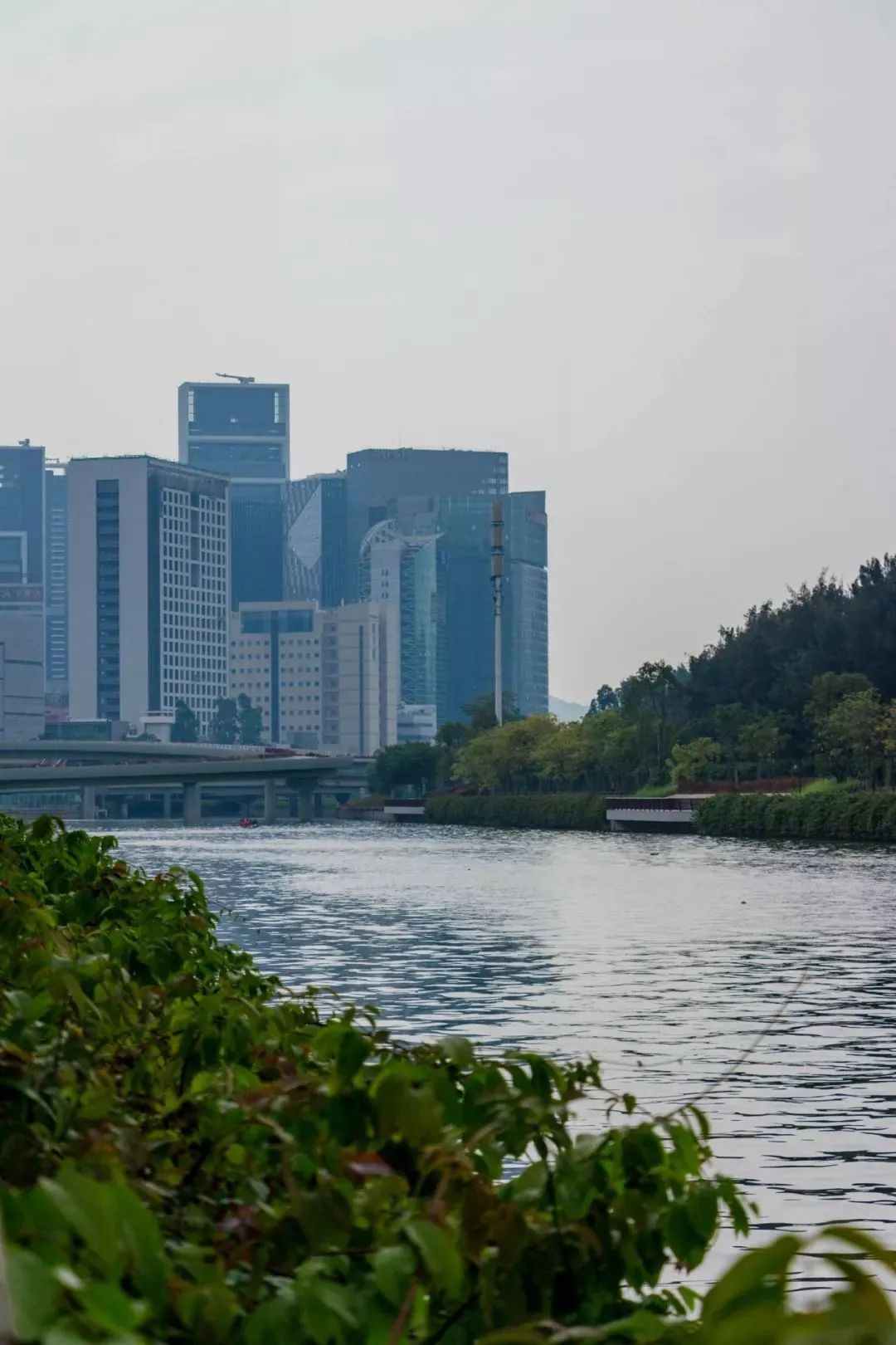 深圳十条景美徒步路线推荐,深圳水库徒步路线图