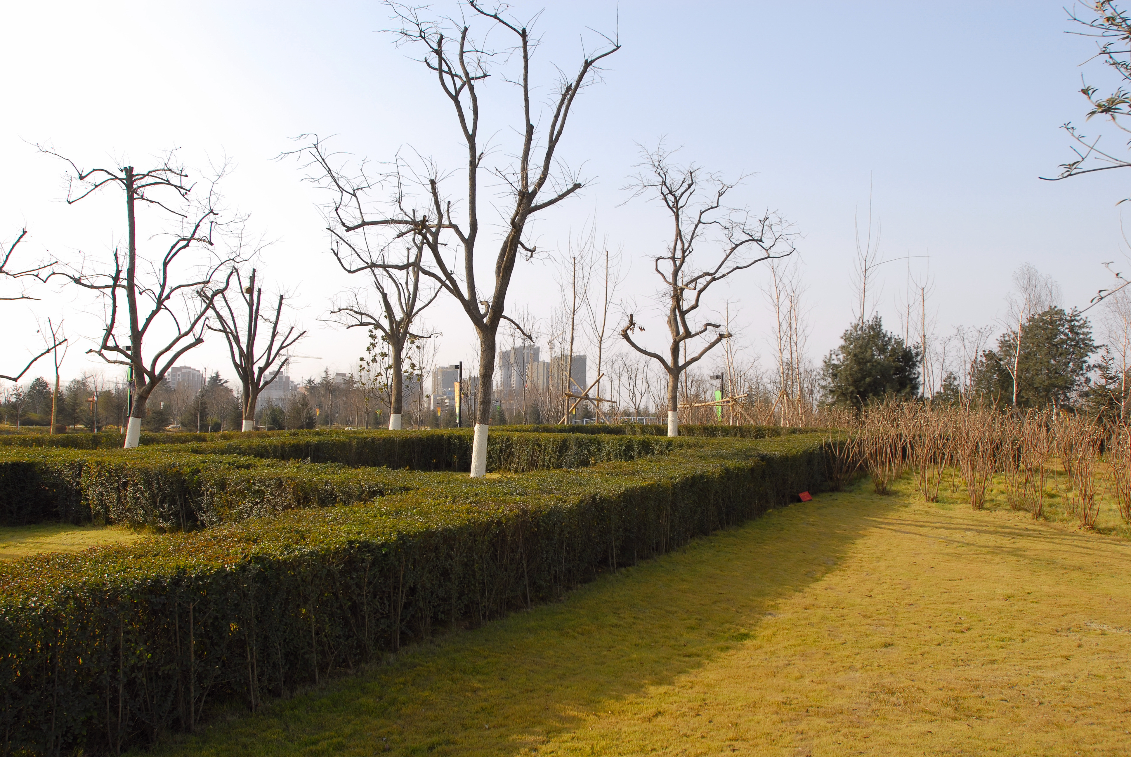 2007年的西安城市运动公园