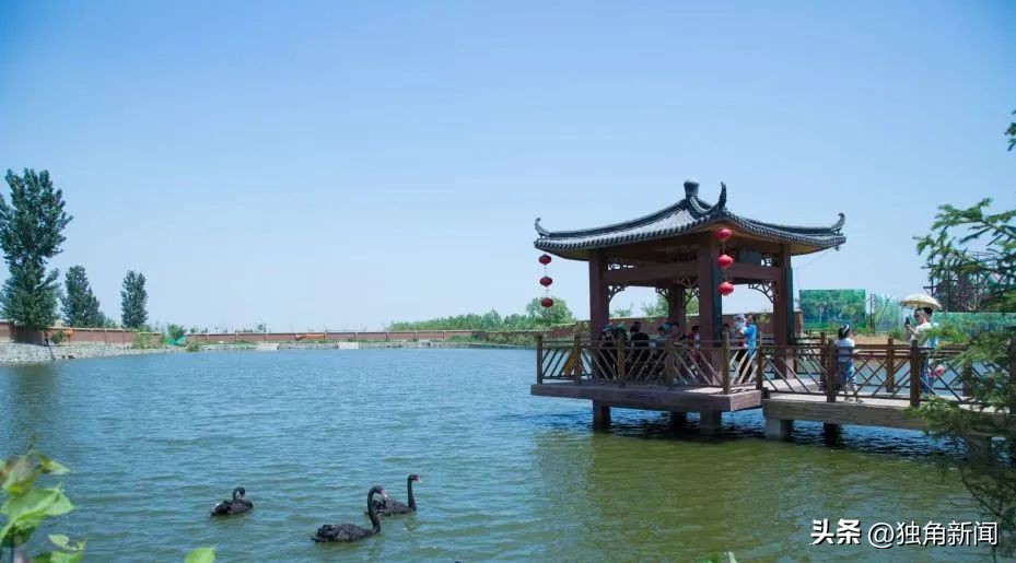 奥运冠军之城辽宁,奥运冠军最多的城市鞍山