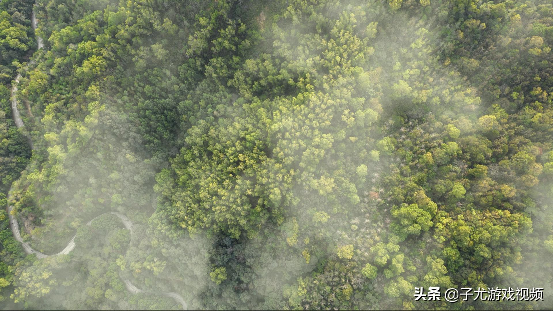 wallpaperengine手机版壁纸推荐,wallpaperengineer比较好看的壁纸