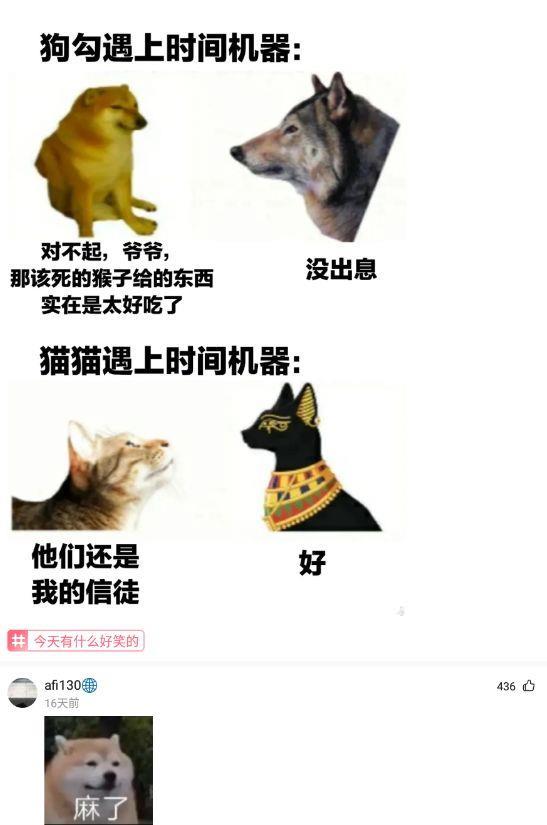 神回复你们媳妇都是怎么说的,神回复老婆和女朋友的区别