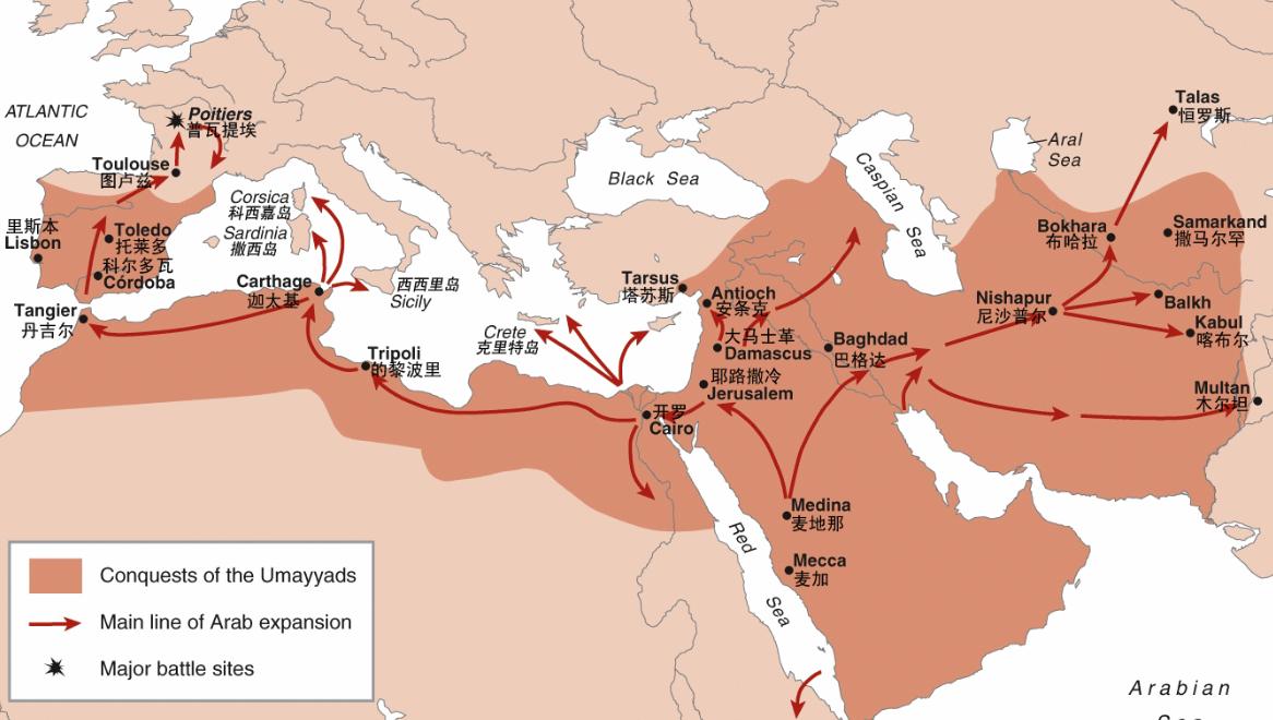 唐朝的衰落是因为阿拉伯吗,唐朝与阿拉伯帝国的关系