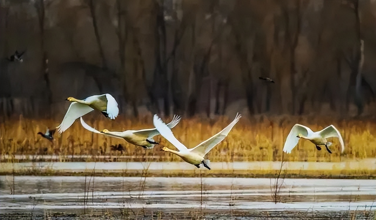 向北向北！|“美”在内蒙古