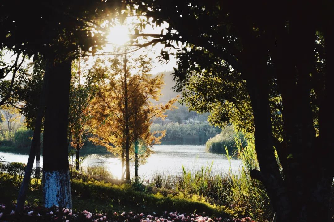 好吃好逛的避寒首选地，没有城市能成为它的平替