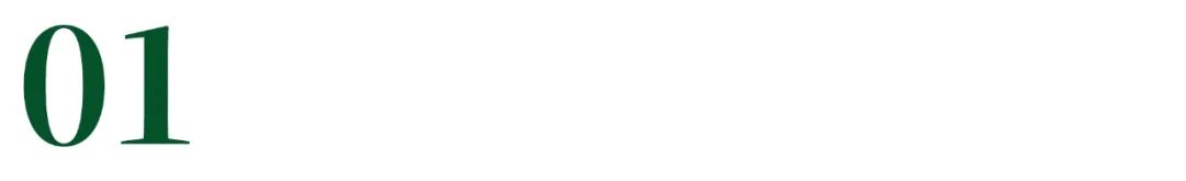 东北往事刘涌与刘德华的事后续,东北黑道乔四纪录片