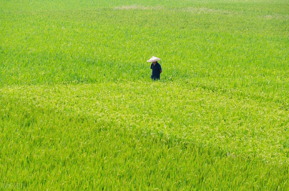 把悲伤留给自己欢乐留给其他的人,把悲伤留给自己是谁的作品