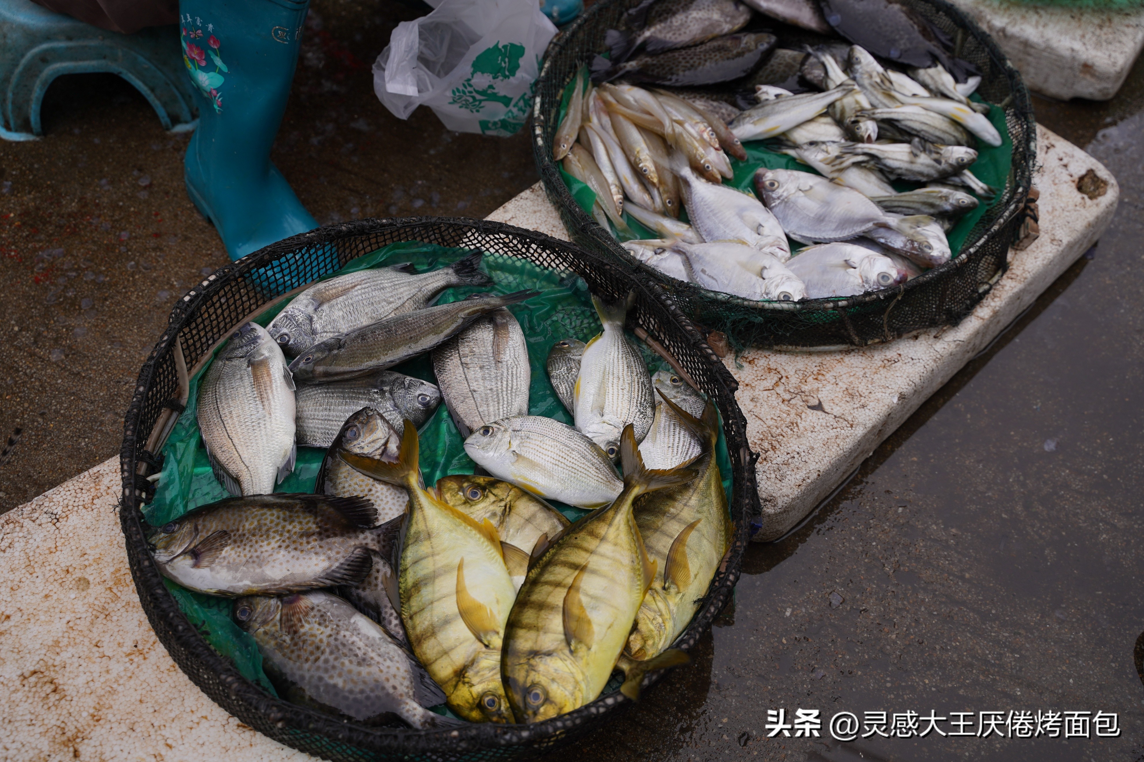 海南万宁有哪些大型农贸市场,海南万宁和乐菜市场