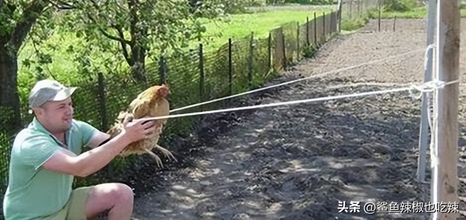 今天你看了吗,治好脚气以前的袜子还能穿吗