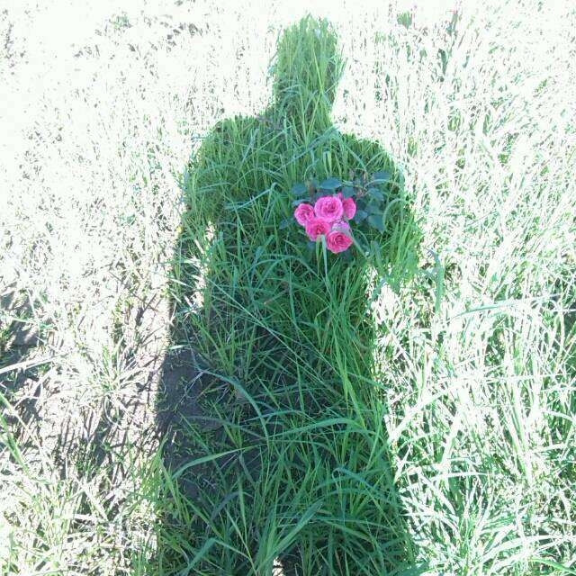 古代河州是指哪里啊,我国古代记载河流的一部地理著作