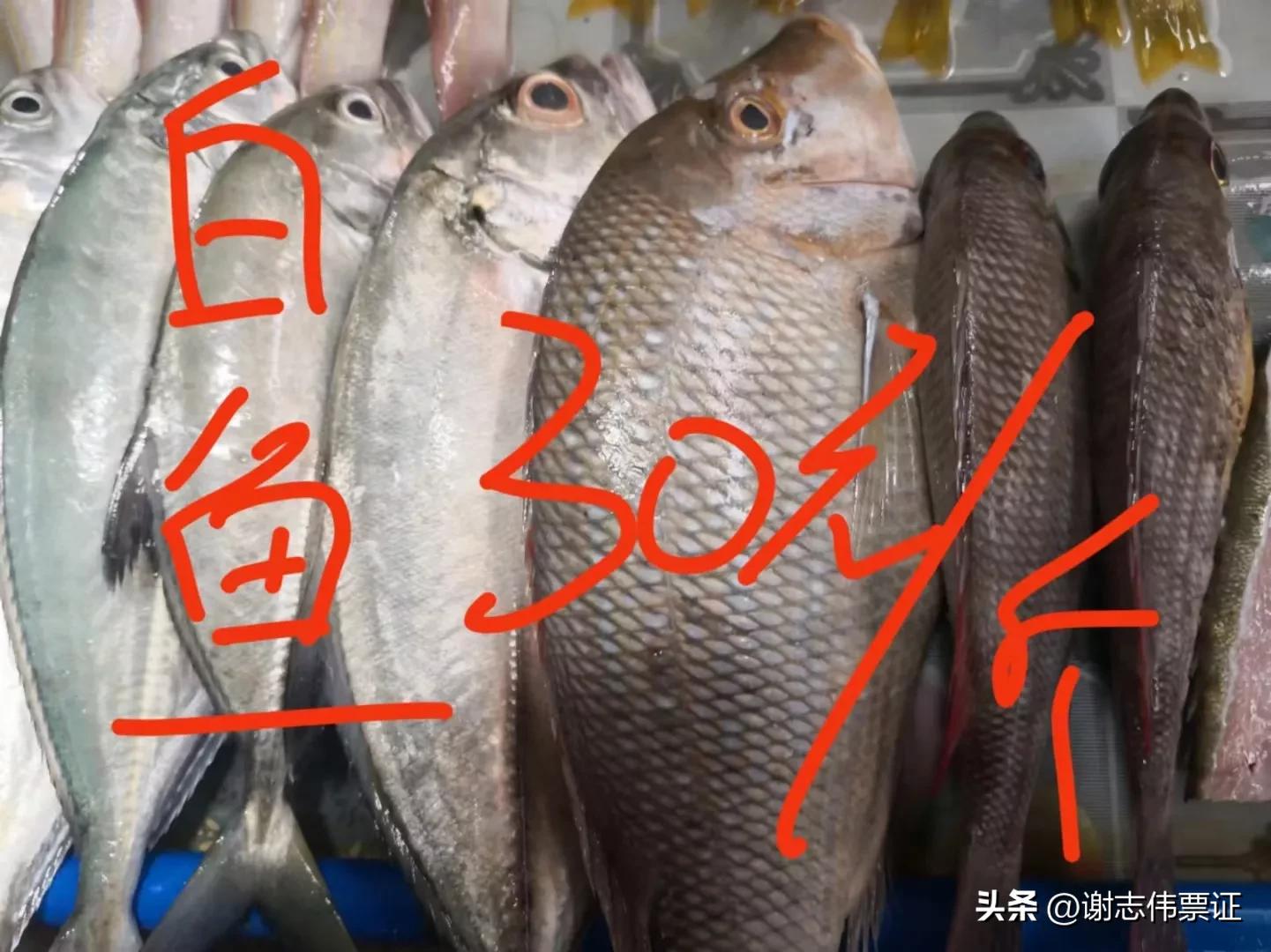 海南风情（015）上埇村海鱼价目知多少