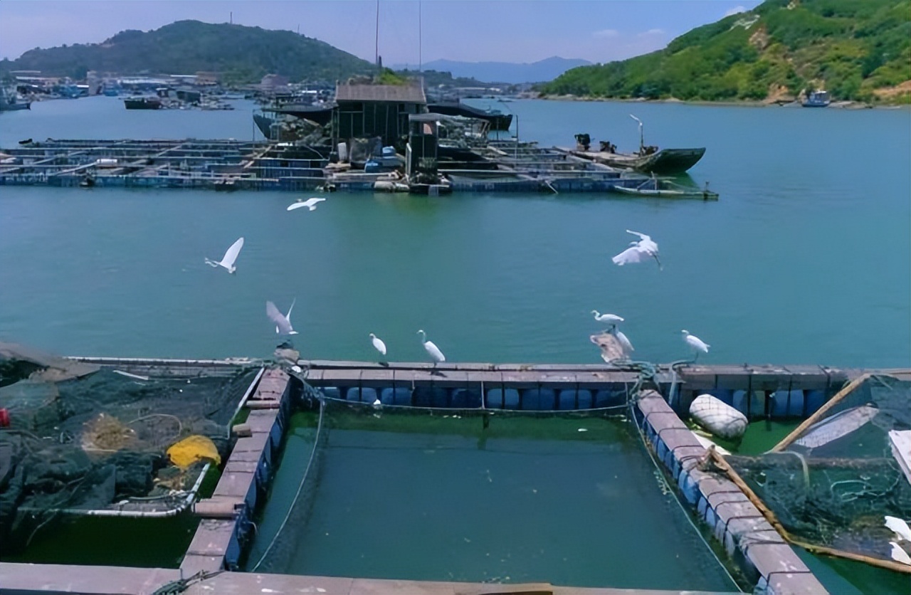 在鲜味江湖里，广东这座小城堪称食客天堂