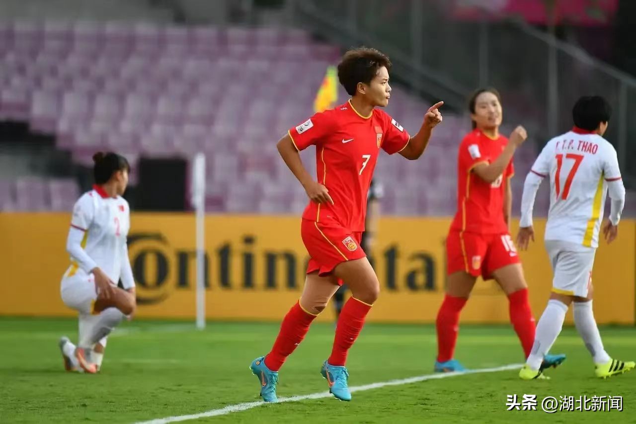 党代表履职风采,王霜党代表