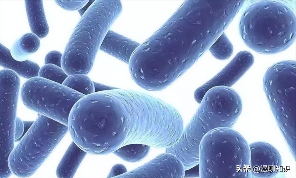 为什么乳酸菌能抑制其他细菌合成,群体感应抑制