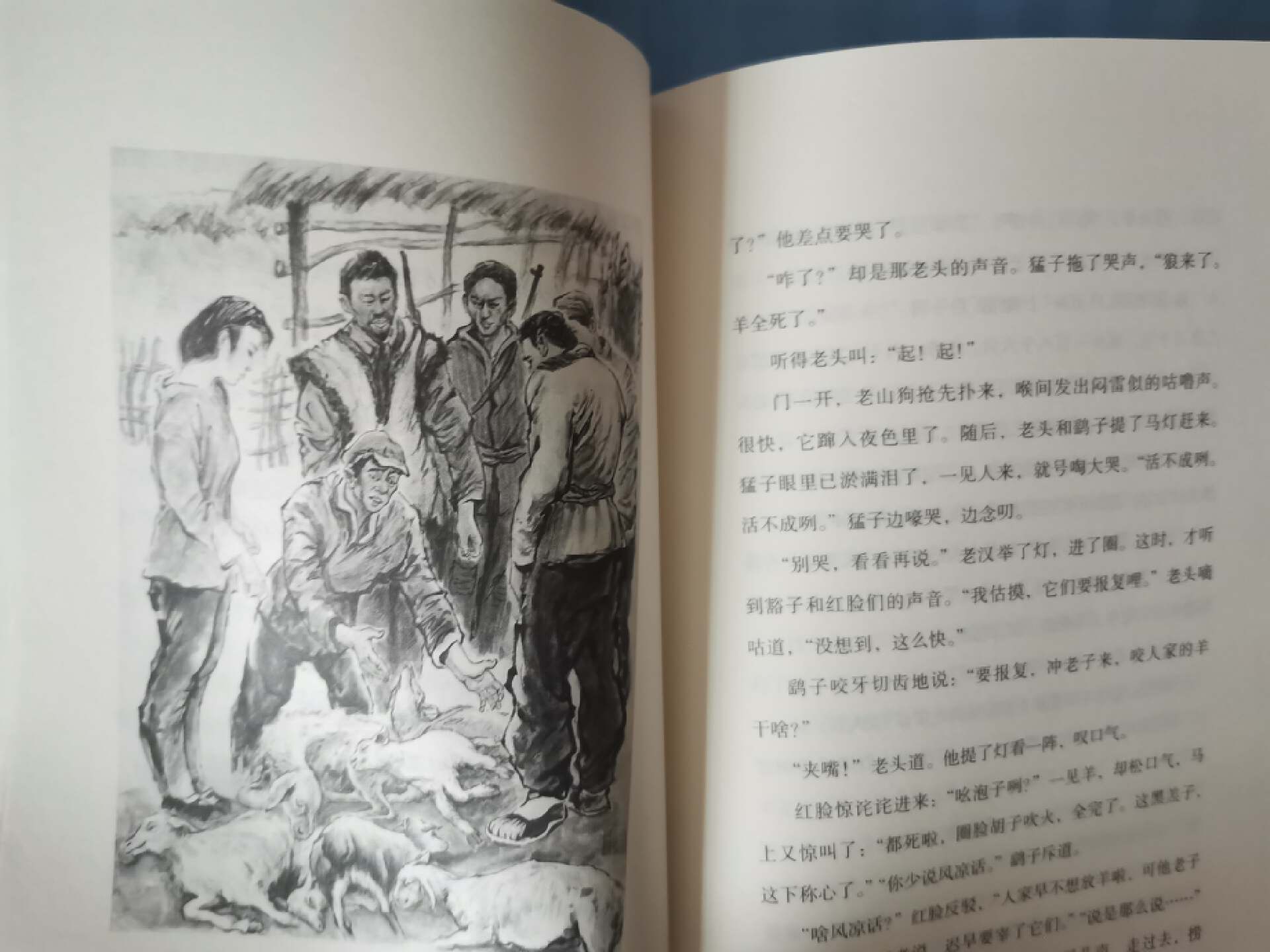 《猪肚井的狼祸》：人狼大战，谁是赢家？