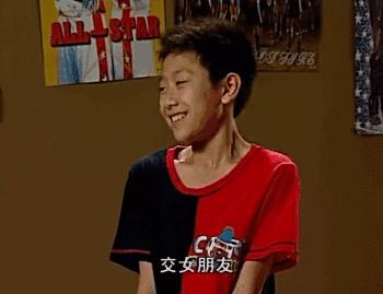 十部必看抗日电视剧雪豹,中国口碑最高的10部抗战剧雪豹