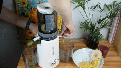 蓝宝的冰淇淋机,德国蓝宝榨汁杯冰淇淋