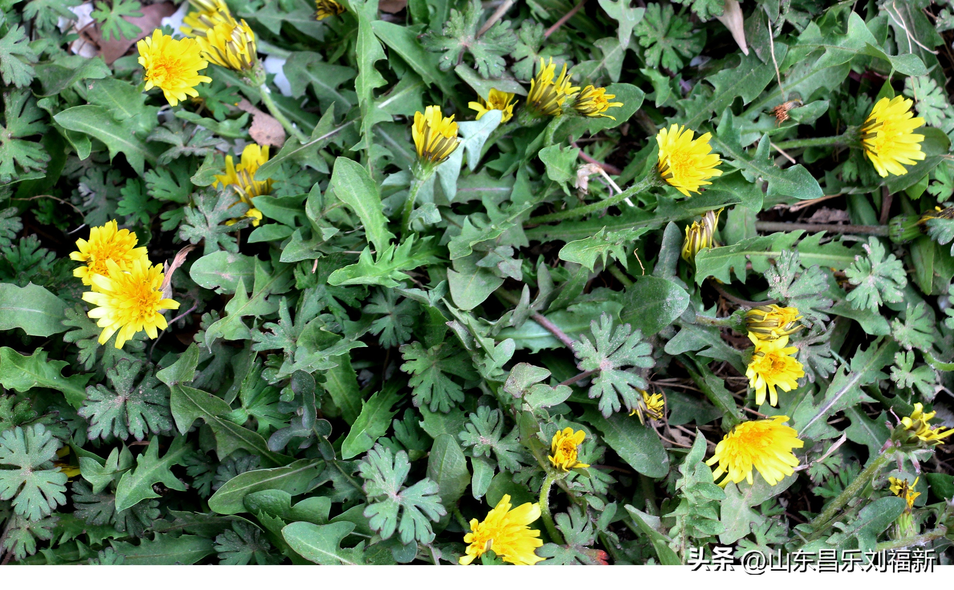 2023年3月中旬散拍·一点儿感受