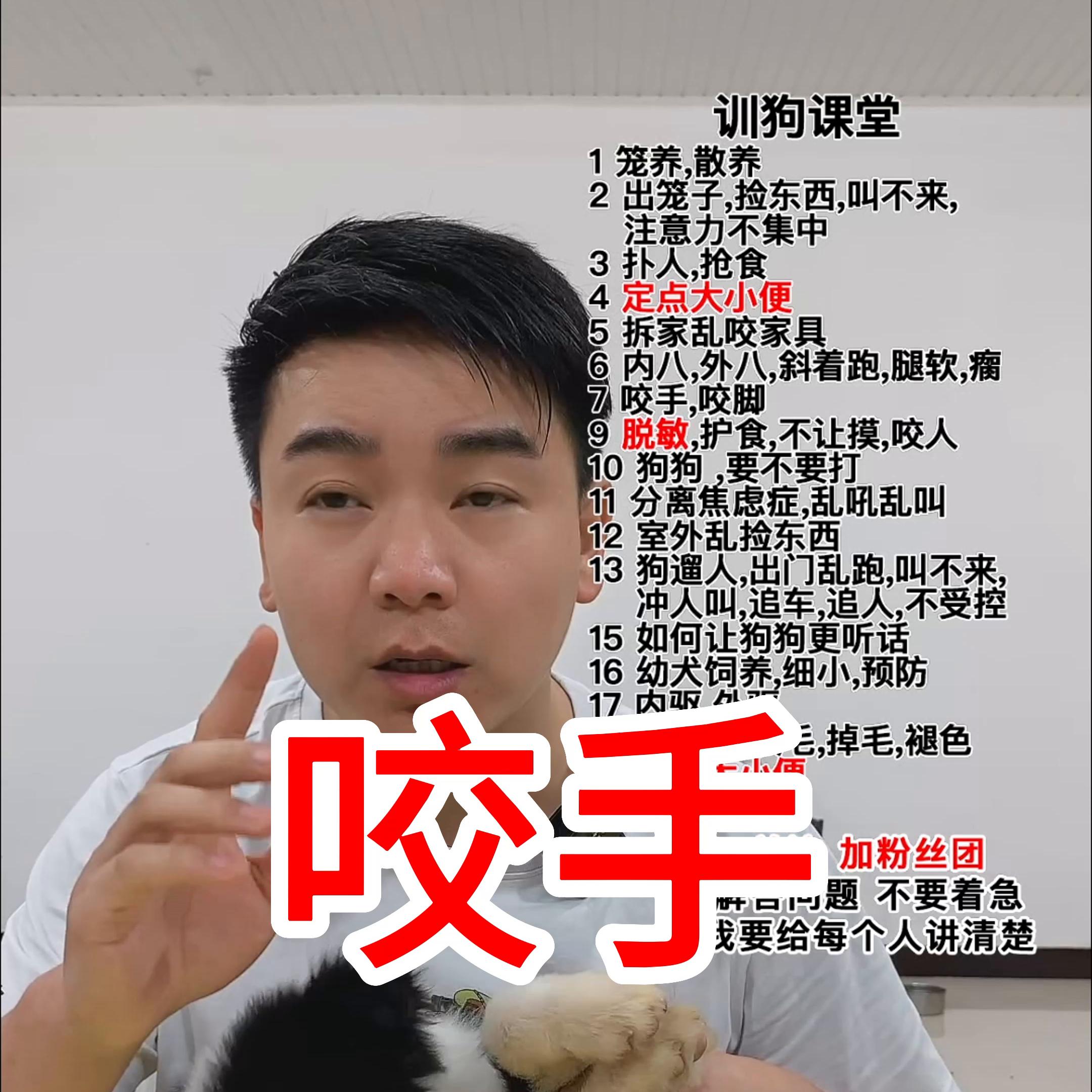 如何改正狗狗咬手磨牙,狗狗磨牙棒能避免咬人吗