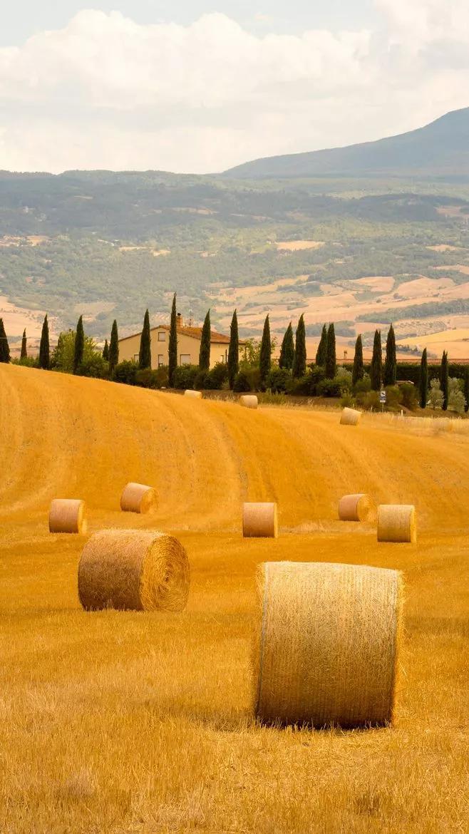最惊艳的自然风景手机壁纸超清,风景壁纸动态壁纸高清全屏90帧
