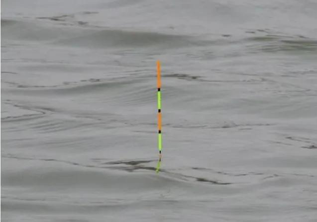 野钓最适合用的漂型,野钓常见的几种漂相解析